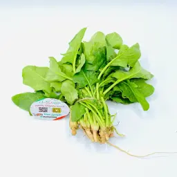 Spinach